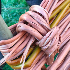 Historylinks East Sutherland Longhouse Project Historylinks East Sutherland Longhouse Project