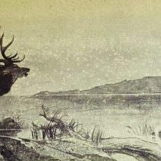 Landseer – exhibition of rare works comes to Grantown Museum