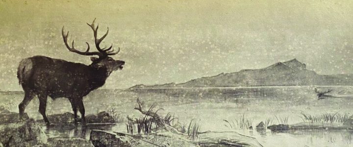 A dark stag stands to the left of the picture looking towards a deep valley with mountains in the distance