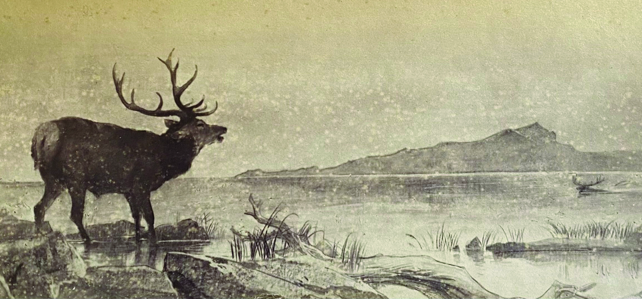 Landseer – exhibition of rare works comes to Grantown Museum