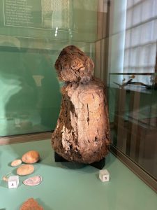 Ancient carved wooden figure displayed in a glass case at Strathnaver Museum, with shells and stones exhibited alongside it.